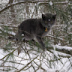 Meet your Posher, Keith